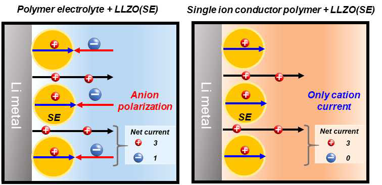 (좌) 일반적인 polymer electrolyte와 solid electrolyte 복합층 및 (우) 단이온 전도성 고분자와 solid electrolyte 복합층 상에서 양이온과 음이온의 전류 흐름 비교