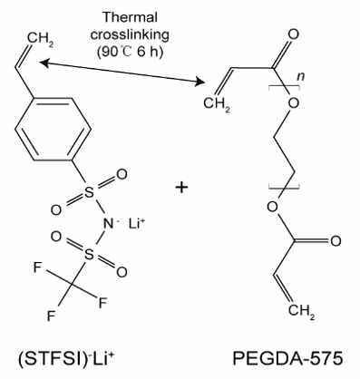 LiSTFSI 단량체와 PEGDA-575 가교제의 분자 구조