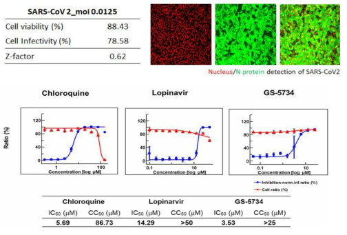 SARS-CoV-2 항체를 이용한 이미지 분석 결과 및 참고화합물의 항바이러스 활성 효능