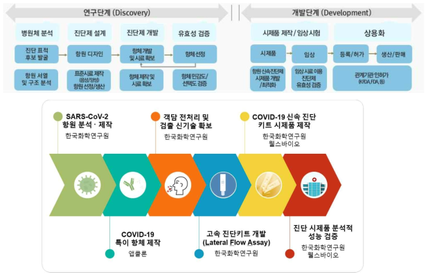 코로나바이러스감염증-19 신속 진단기술 개발 흐름 모식도