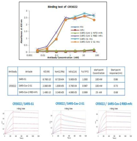 CR3022 항체의 항원과의 반응성 및 친화도 분석