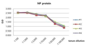 SARS-CoV-2 NP 재조합 단백질 serum antibody titer(ELISA)