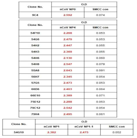 SARS-CoV-2 NP 단클론 항체 재확인(ELSIA)