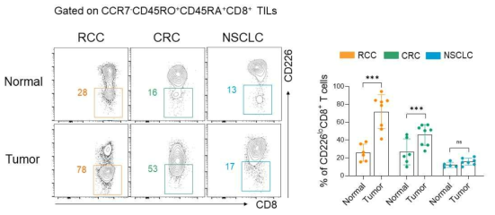 FACS를 이용한 환자 암 침윤 CD8+ T 세포에서 CD226 발현 분석. RCC: Renal cell carcinoma. CRC: Colorectal cancer. NSCLC: Non-small-cell lung carcinoma