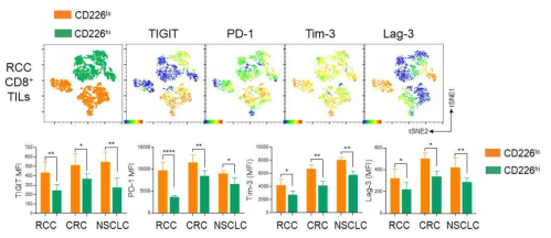 FACS를 이용한 암 침윤 CD8+ T 세포의 면역 표현형 분석. RCC: Renal cell carcinoma. CRC: Colorectal cancer. NSCLC: Non-small-cell lung carcinoma