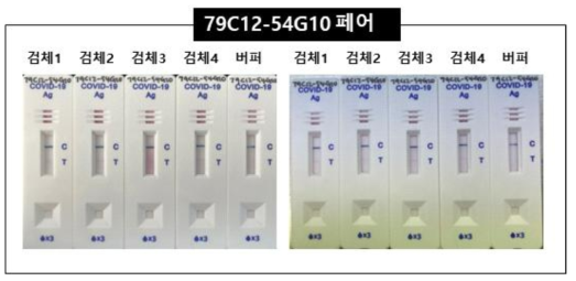 79C12-54G10 페어를 사용한 시제품의 임상적 성능평가 결과