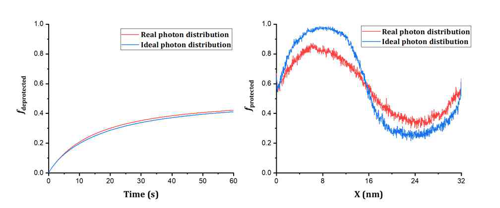 (왼쪽) PEB 60초 동안 전환된 친수성기의 비율 변화 (오른쪽) PEB가 끝난 후 x축에 대한 소수성기 분포 비율 (yz 방향으로 평균)