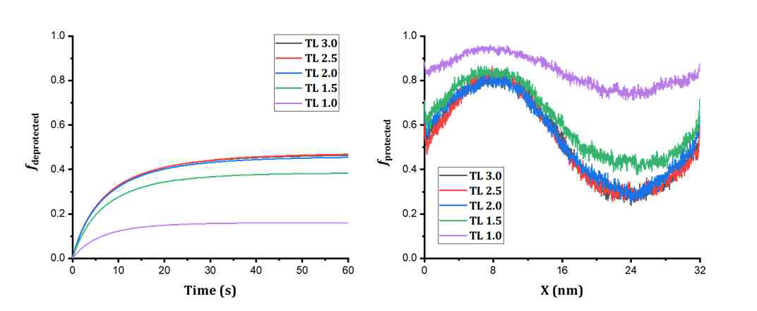 Thermalization length (1~3nm) 조절에 따른 (왼쪽) PEB 공정동안 고분자의 친수성기 비율 변화 (오른쪽) PEB 공정이 끝난 후 x축에 대한 소수성기 비율