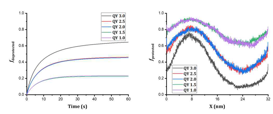 Quantum yield (1~3) 조절에 따른 (왼쪽) PEB 공정동안 고분자의 친수성기 비율 변화 (오른쪽) PEB 공정이 끝난 후 x축에 대한 소수성기 비율