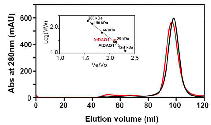 Gel-filtration chromatography of AtDAO1*(red) and the full-length AtDAO1(Black)