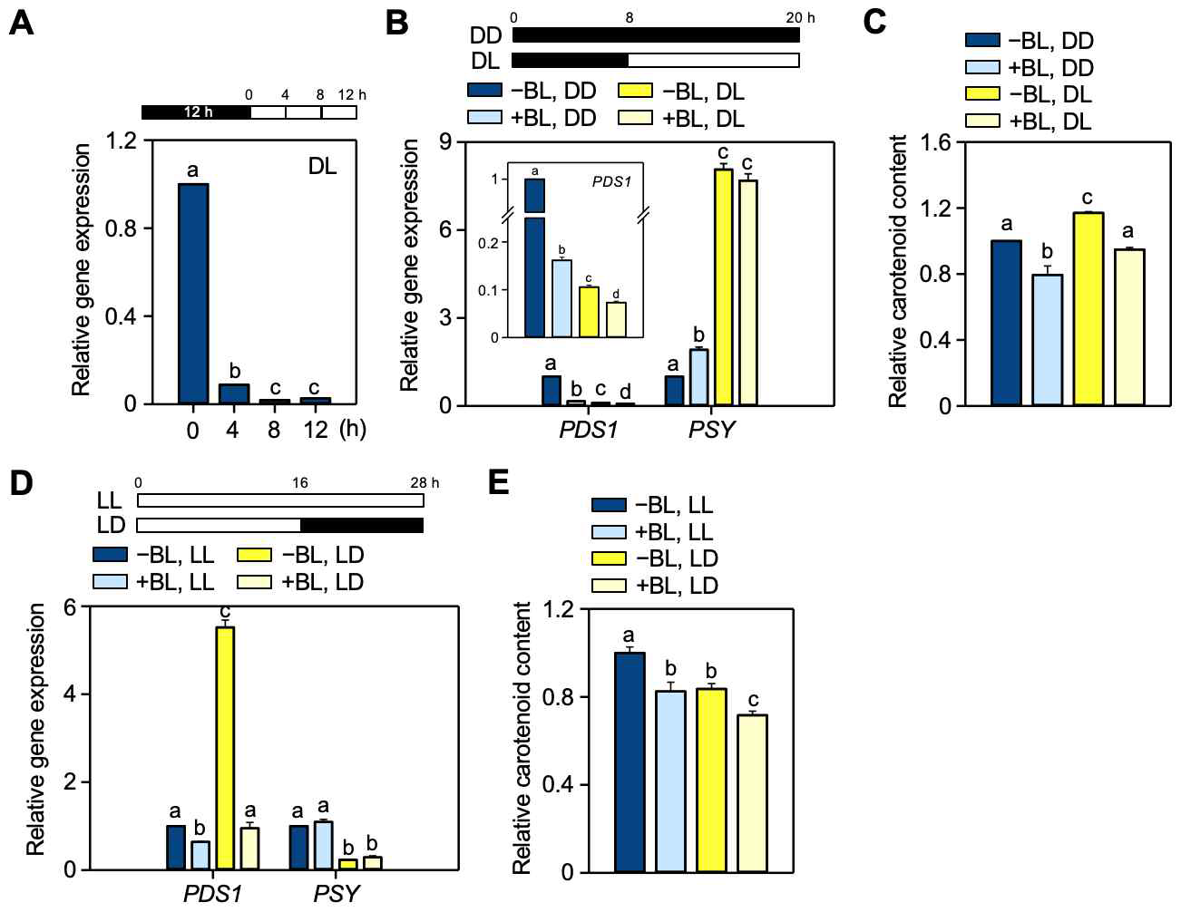 명조건/암조건, 암조건/명조건에서 PDS1의 발현 변화 및 카로티노이드 함량 변화 (A) 12시간 암조건 후 명조건 처리시 4시간 간격의 PDS1 발현 변화 (B-C) 20시간 암조건, 8시간 암조건/12시간 명조건에서 PDS1, PSY의 발현 변화와 카로티노이드 함량 변화 (D-E) 28시간 명조건, 16시간 명조건/12시간 암조건에서 PDS1, PSY의 발현 변화와 카로티노이드 함량 변화
