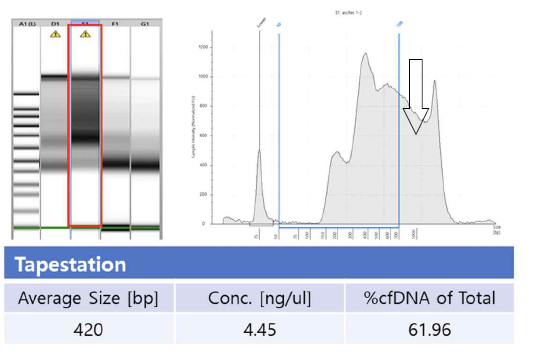 기존 cfDNA 추출법의 한계 (gDNA오염)