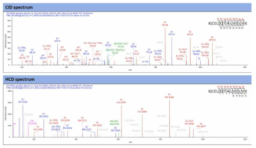 HSA의 당화펩티드의 CID 와 HCD 탄뎀질량스펙트럼