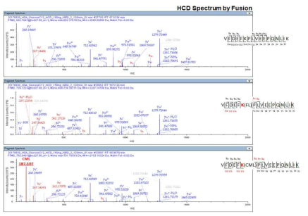 일반펩티드와 당화펩티드의 탄뎀질량 스펙트럼