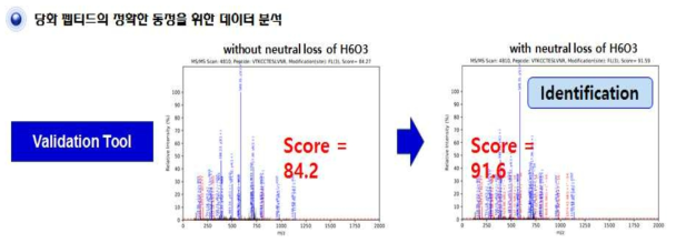 FL 형태의 당화 펩타이드의 스코어링법 효과