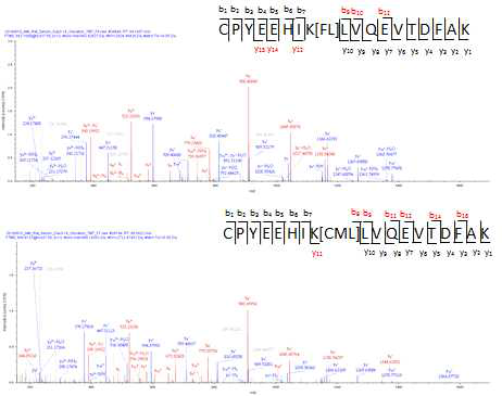 albumin 단백질의 65번째 라이신 잔기의 FL 및 CML 당화 펩타이드의 탄뎀 질량스펙트럼