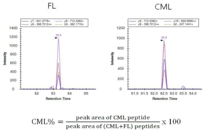 표적이온들의 크로마토그램 및 CML%의 계산식