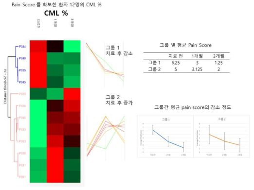 CML%에 의한 줄기세포치료 예후예측 환자분류