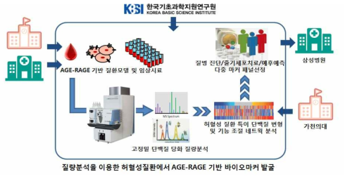 질량분석을 이용한 허혈성질환 AGE-RAGE기반 바이오마커 발굴 연구 개요도