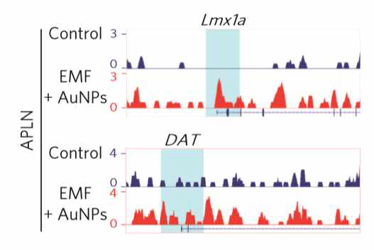 H3K27ac의 ChIP-Seq을 통한 도파민 신경 유전자에서의 효과 분석