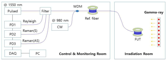 Rayleigh & Raman 분포 산란광 광학계 및 방사선 영향 측정을 위한 구성도 *PD: Photo-diode, DAQ: Digital acquisition, WDM: Wavelength division multiplexer, FUT: Fiber under test