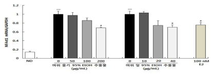 머위 줄기, 잎 95% EtOH 추출물이 파골분화유전자인 NFATc1 mRNA 발현에 미치는 영향