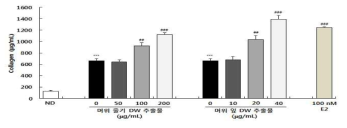 머위 잎, 줄기 DW 추출물이 MC3T3-E1 세포의 콜라겐 합성에 미치는 영향