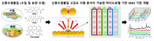 표면 증강 라만산란 기술을 기반으로 신종오염물질 검출을 위한 하이드로겔 기반 SERS 어레이 기판 제조