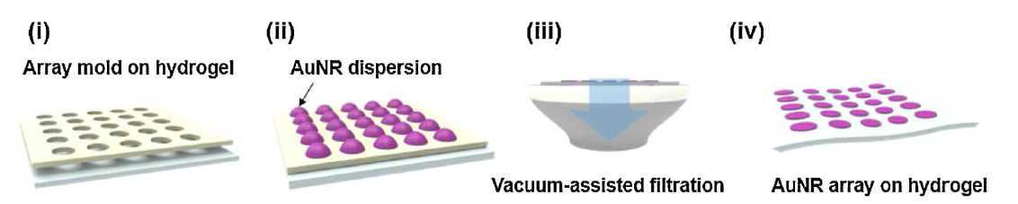 금 나노로드 어레이가 형성된 하이드로겔 기반 SERS 기판 제조 모식도