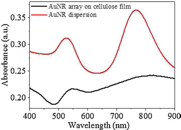 금 나노로드 분산액 및 셀룰로오스 필름 SERS 기판의 흡광도 분석