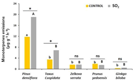 The monoterpenes emissions of 5 urban tree species (Pinus densiflora, Taxus cuspidata, Zelkova serrata, Prunus yedoensis, and Ginkgo biloba) under 500 ppb of SO2 at 4 days after exposure