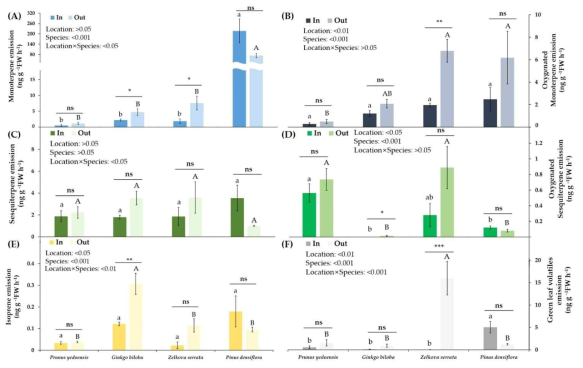 (A) Monoterpenes, (B) oxygenated monoterpene, (C) sesquiterpene, (D) oxygenated sesquiterpene, (E) isoprene, and (F) GLVs (green leaf volatiles) of 4 urban tree species (Prunus yedoensis, Ginkgo biloba, Zelkova serrata, and Pinus densiflora) inside (In) and outside (Out) urban park. P values for main effects and interactions from mixed-model ANOVA are shown