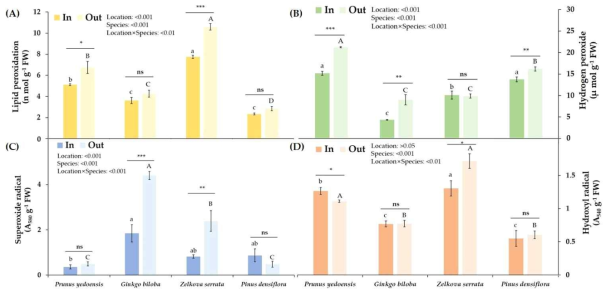 (A) Lipid peroxidation, (B) hydrogen peroxide, (C) superoxide radical, and (D) hydroxyl radical of 4 urban tree species (Prunus yedoensis, Ginkgo biloba, Zelkova serrata, and Pinus densiflora) inside (In) and outside (Out) urban park. P values for main effects and interactions from mixed-model ANOVA are shown