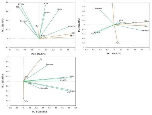 PCA for variable BVOCs and ROS of 4 urban tree species (Prunus yedoensis, Ginkgo biloba, Zelkova serrata, and Pinus densiflora)