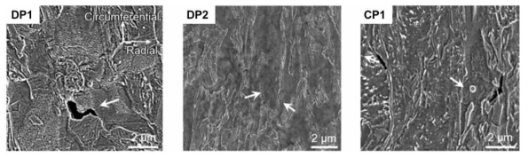 홀확장시험 후 DP1, DP2, CP1의 기공