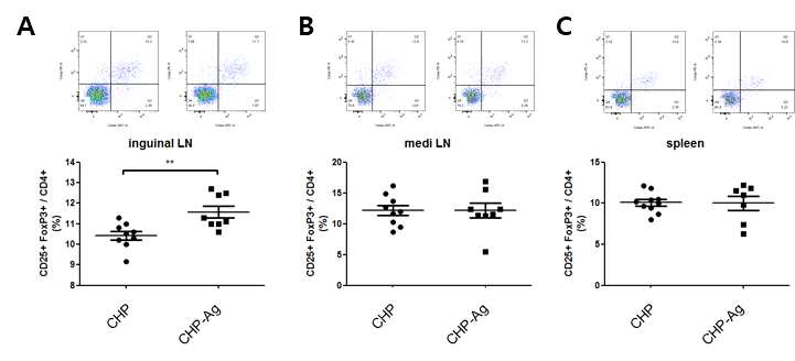 CHP-Ag treatment modulates macrophage phenotype and immune response after MI