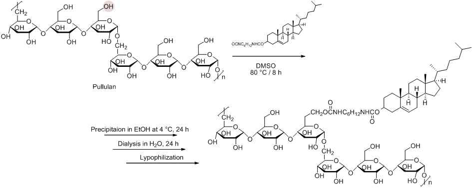Synthesis of cholesteryl pullulan (CHP) polymers