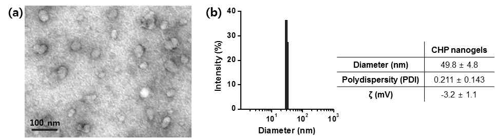 Characteristics of CHP nanogels. TEM (a), DLS and ζ-potential measurement (b)