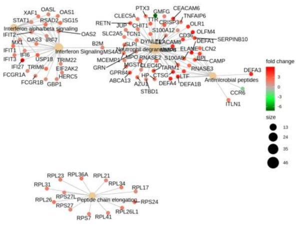 환자군과 대조군의 차등 발현 유전자의 Reactome pathway mapping 결과