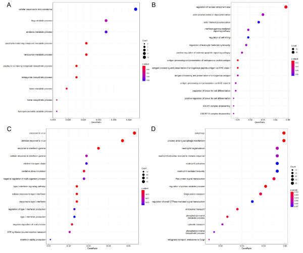 모듈과 주요 루푸스 임상 지표 변화율에 따른 주요 15개의 관련 경로 cyan 모듈에 대한 분석 결과(A) purple 모듈에 대한 분석 결과(B) red 모듈에 대한 분석 결과(C) yellow 모듈에 대한 분석 결과(D)