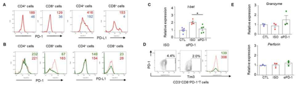 대조군(CTL, 파랑색), CDPD 유도모델군(ISO, 빨간색)과 PD-1 차단항체 처리군(αPD-1, 풀색)에서의 PD-1과 PD-L1 발현(A와 B), t-bet (C), Tim3+ T 림프구 변화(D), Granzyme과 perforin 발현(E)