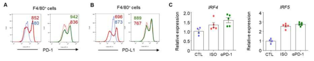 대조군(CTL, 파랑색), CDPD 유도모델군(ISO, 빨간색)과 PD-1 차단항체 처리군(αPD-1, 풀색)에서의 PD-1과 PD-L1 발현(A와 B), 대식세포 군 분화에 필수적인 분화마커인 IRF4와 IRF5의 RNA 발현 분석 (C)