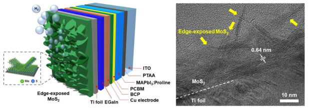 제작된 몰리브덴 이황화물이 적용된 페로브스카이트 광음극의 모식도 및 증착된 몰리브덴 이황화물 촉매층 단층 주사전자현미경 사진
