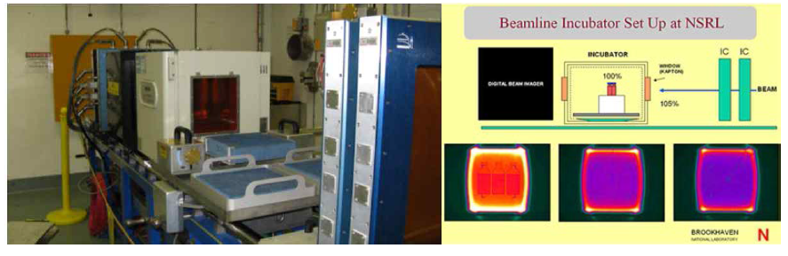 NSRL의 세포실험을 위한 빔라인 사진과 빔 특성