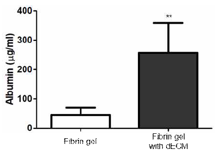 유도 간세포의 바이오 잉크 내 dECM 성분 유무에 따른 albumin ELISA 결과