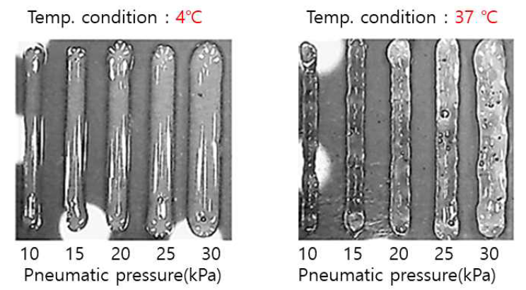 온도 및 공압조건에 따른 바이오잉크의 Printability 특성