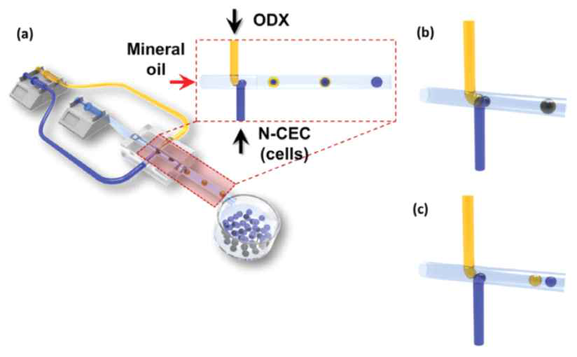 Jang et al. Macromol. Res. 2018, 26, 1143