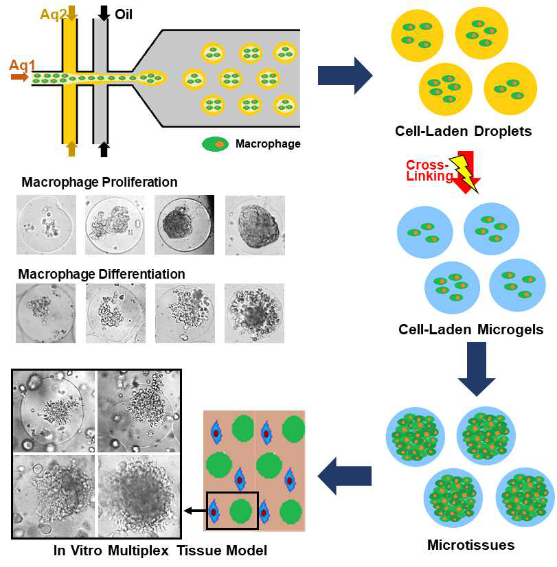 Lee et al. Adv. Biosys. 2018, 2, 1800236