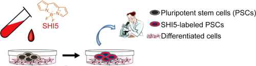 Park et al. Bioorg. Med. Chem. Lett. 2020, 30, 127347