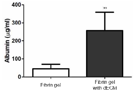 유도 간세포의 바이오 잉크 내 dECM 성분 유무에 따른 albumin ELISA 결과